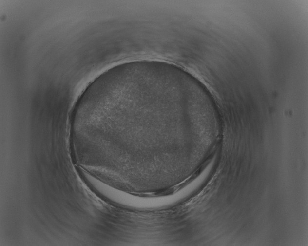 X0000089661508200707121146