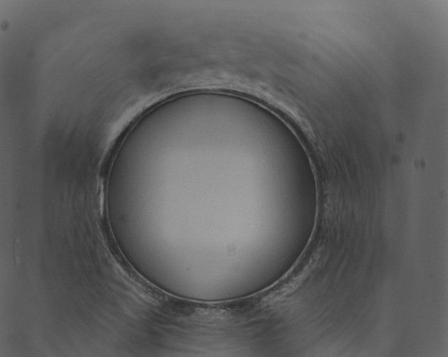 X0000089661509200707121146