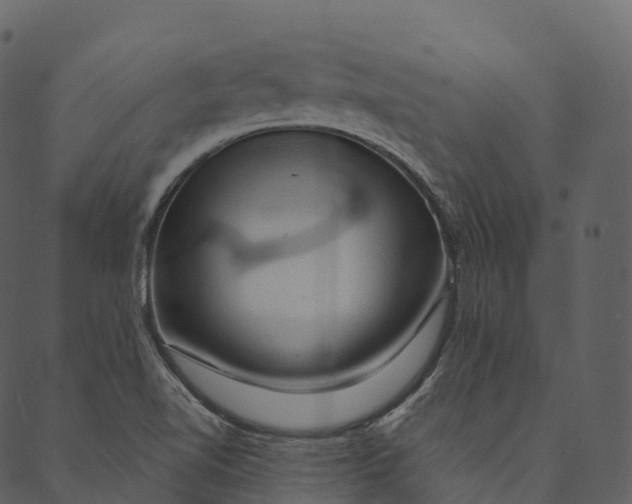 X0000089661510200707121146