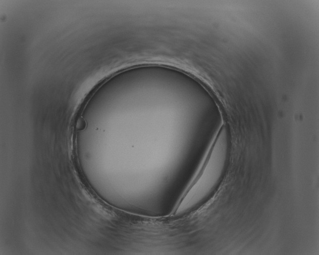 X0000089661511200707121146