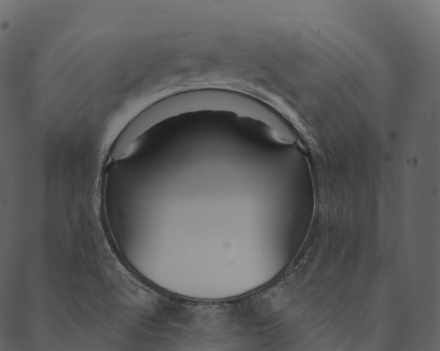 X0000089661512200707121146