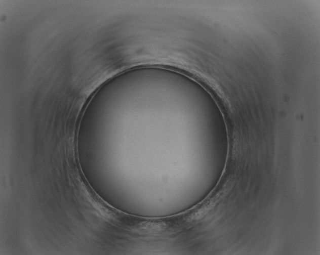 X0000089661513200707121146