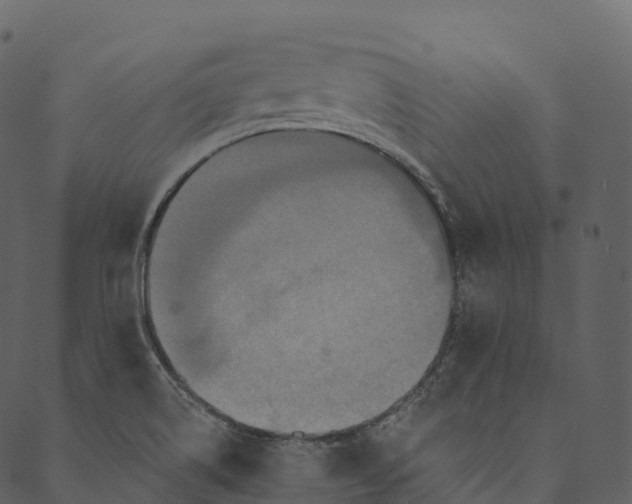 X0000089661514200707121146