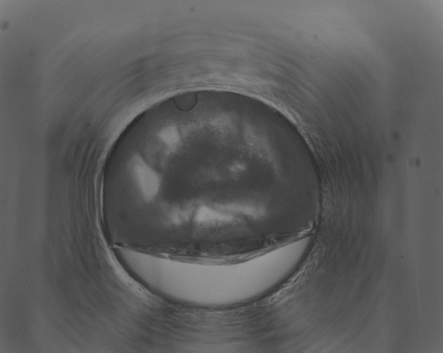 X0000089661515200707121146