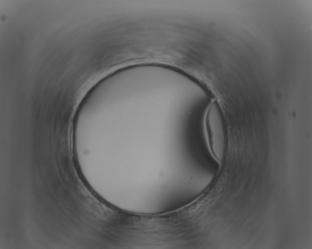 X0000089661516200707121146