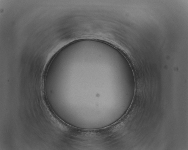 X0000089661517200707121146