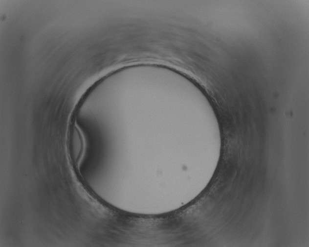 X0000089661518200707121146