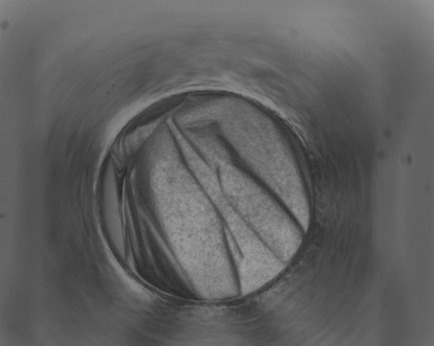 X0000089661519200707121146