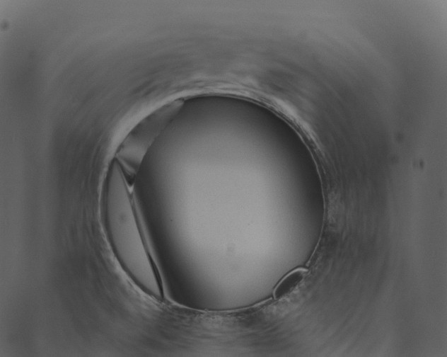 X0000089661520200707121146