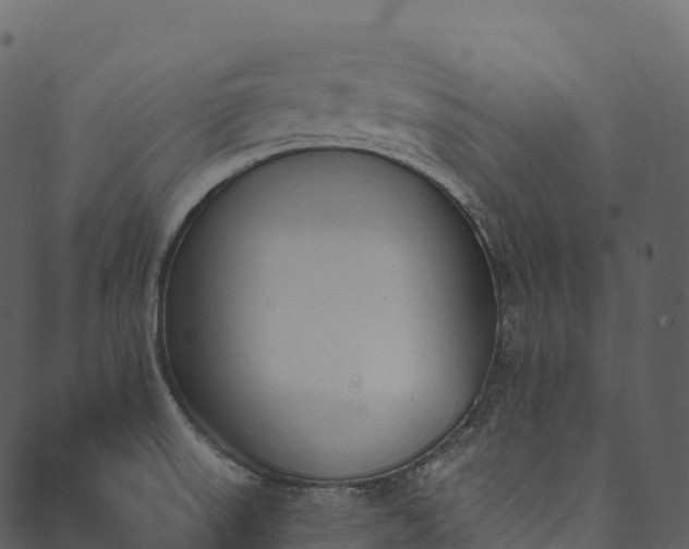 X0000089661523200707121146