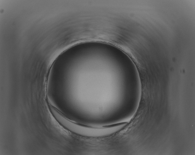 X0000089661524200707121146