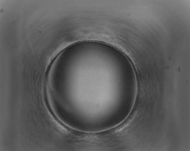 X0000089661525200707121146