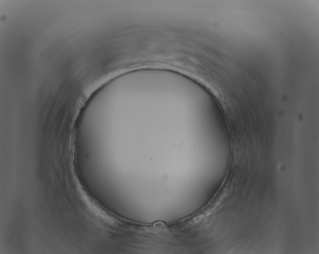 X0000089661526200707121146