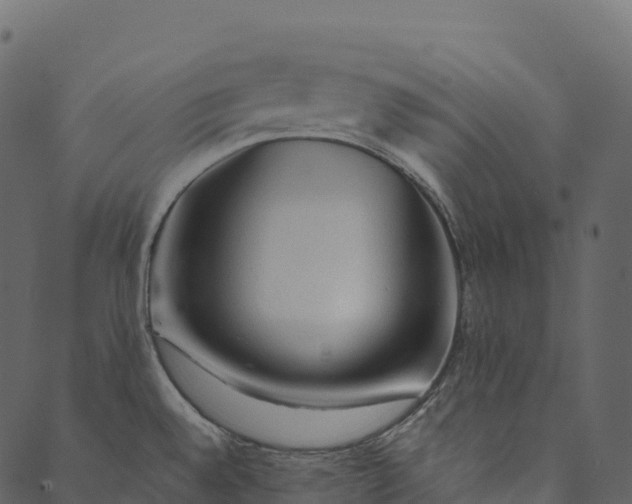 X0000089661528200707121146