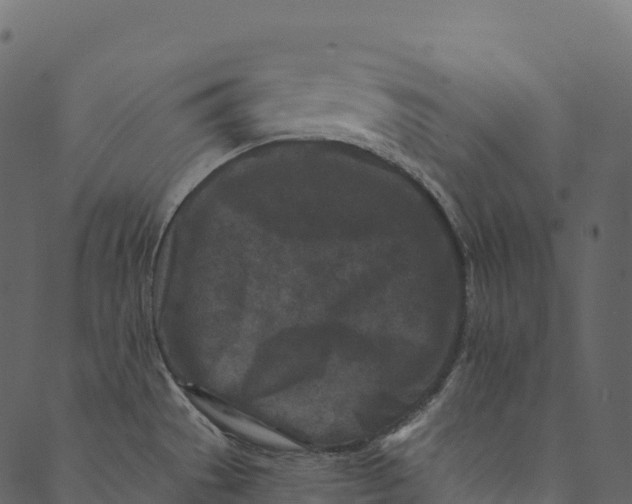 X0000089661529200707121146