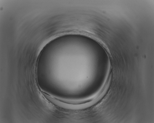 X0000089661530200707121146