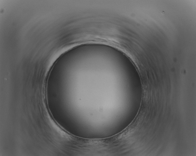 X0000089661531200707121146