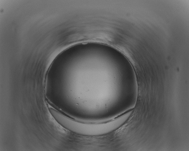 X0000089661532200707121146