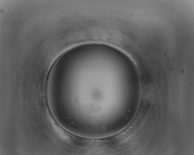 X0000089661534200707121146