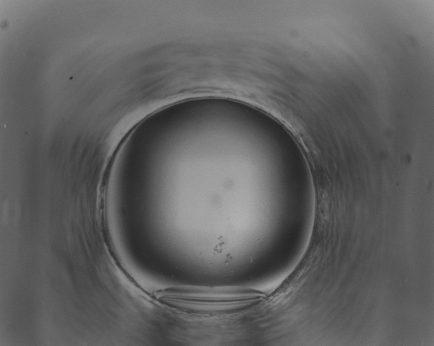 X0000089661535200707121146