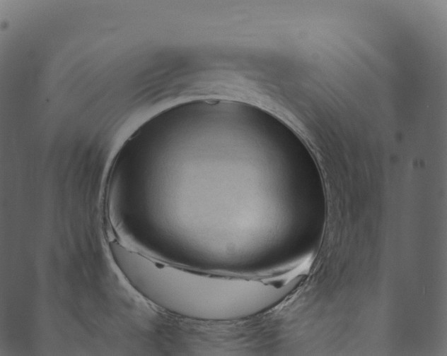 X0000089661536200707121146