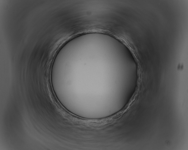 X0000089660001200707191659
