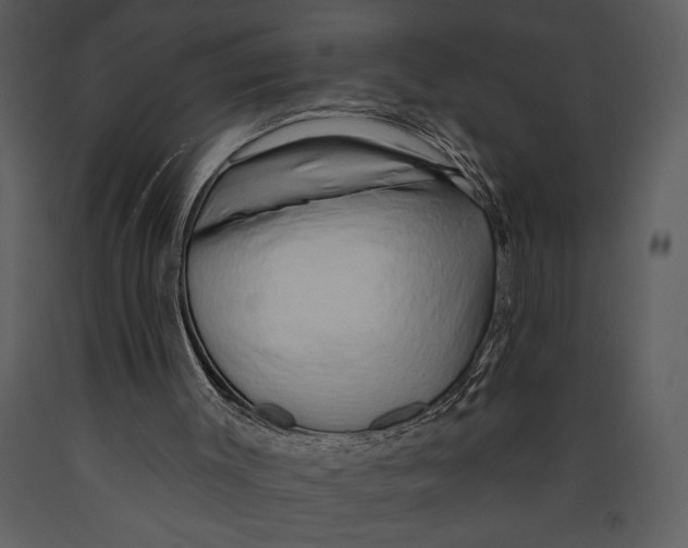 X0000089660003200707191659