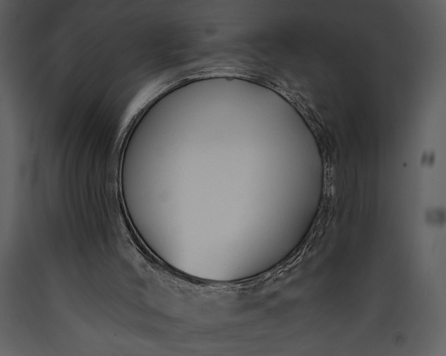 X0000089660004200707191659