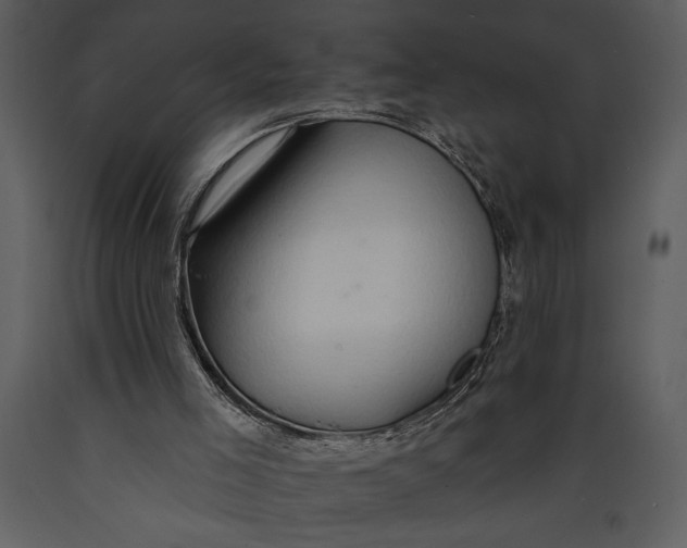 X0000089660005200707191659