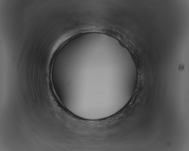 X0000089660006200707191659