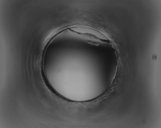 X0000089660007200707191659