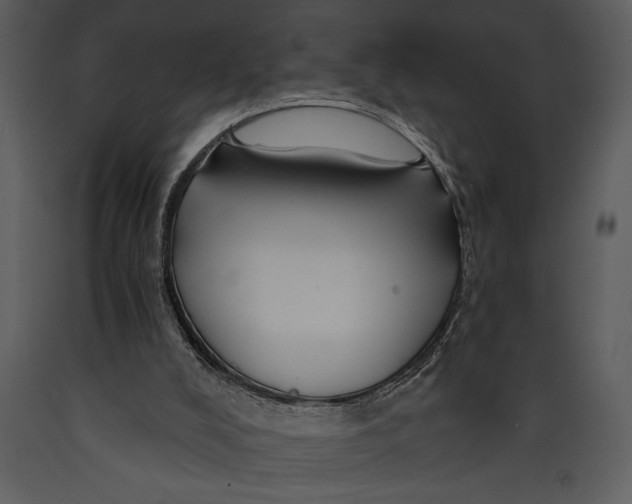 X0000089660008200707191659