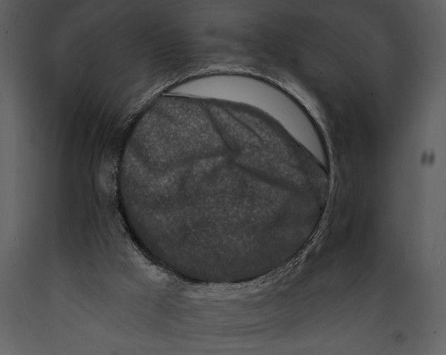 X0000089660009200707191659