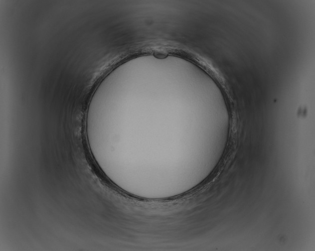 X0000089660010200707191659