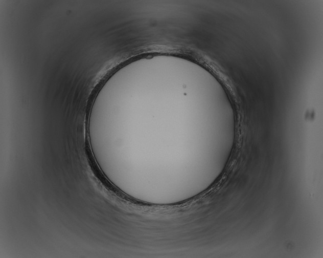 X0000089660011200707191659
