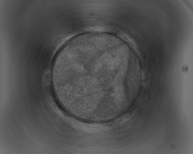 X0000089660012200707191659