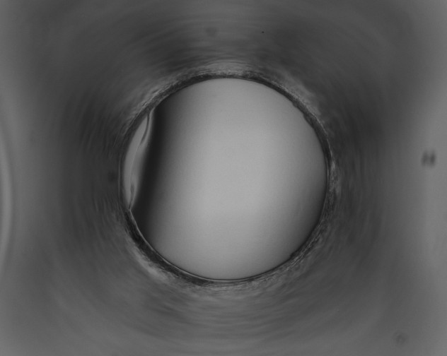 X0000089660013200707191659