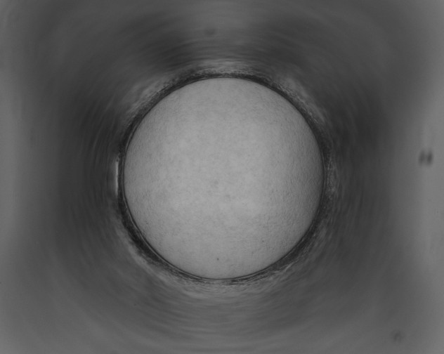 X0000089660014200707191659