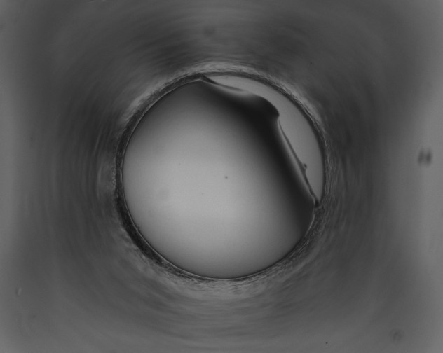X0000089660015200707191659