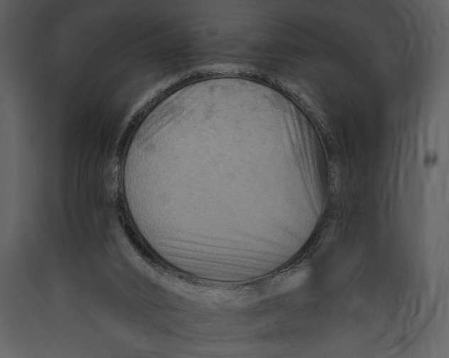 X0000089660016200707191659