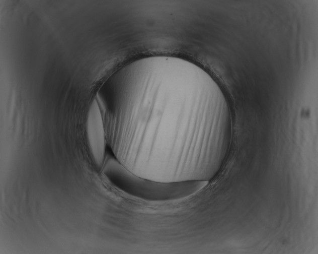 X0000089660017200707191659