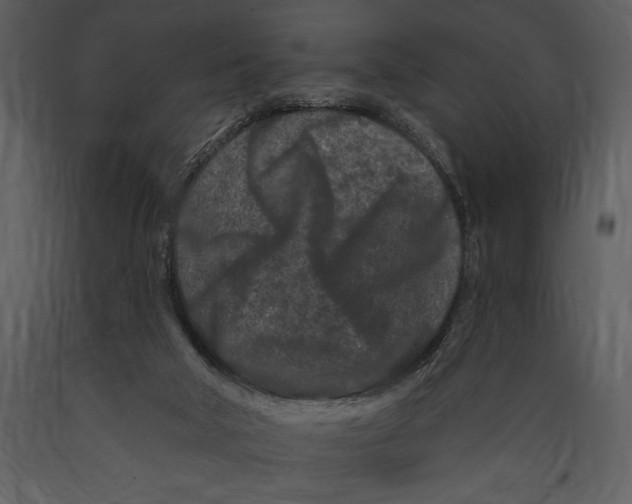 X0000089660018200707191659