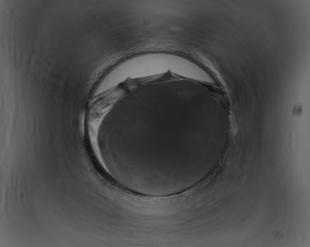 X0000089660019200707191659