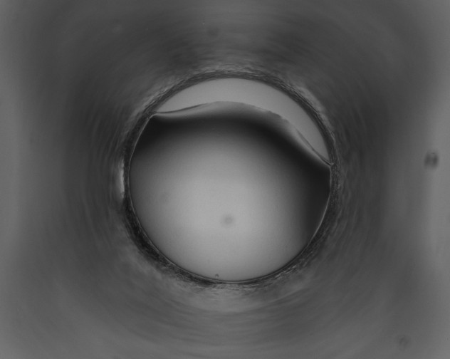 X0000089660020200707191659
