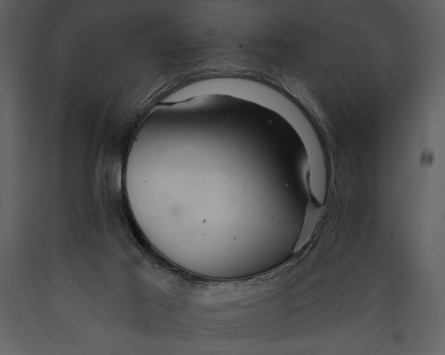 X0000089660021200707191659