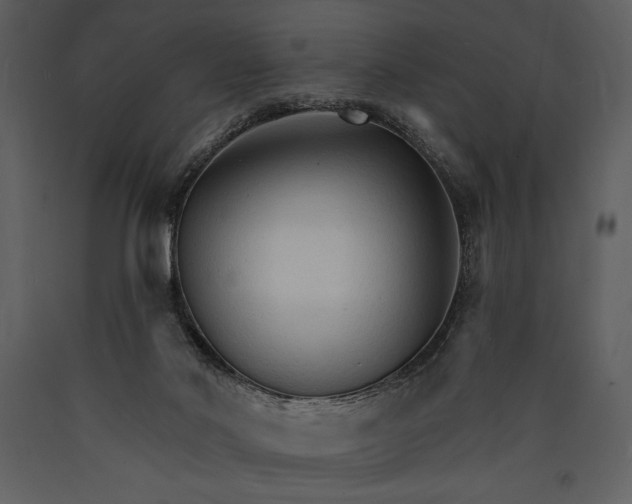 X0000089660022200707191659