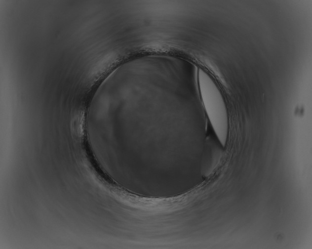 X0000089660023200707191659