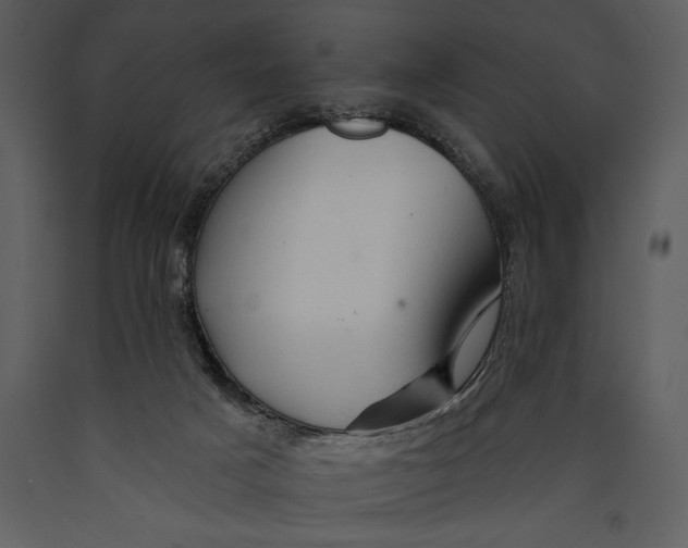 X0000089660025200707191659