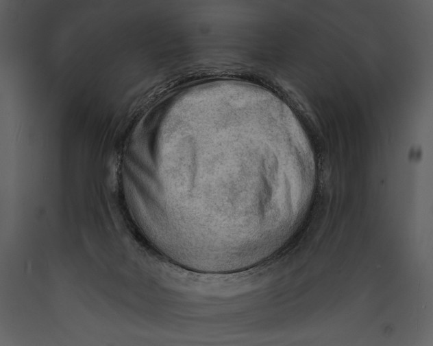 X0000089660026200707191659