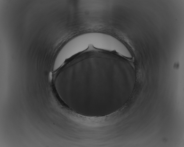 X0000089660027200707191659